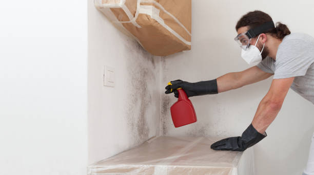Professional Bathroom Mold Removal technician working in Dublin, GA