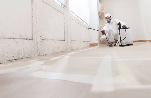 24/7 Emergency Bathroom Mold Removal experts in Dublin, GA