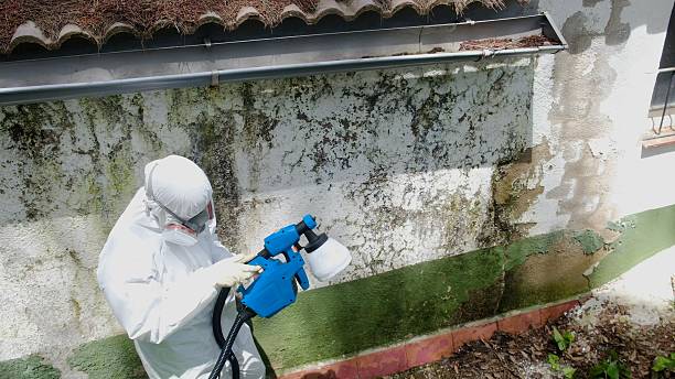 Top rated local Bathroom Mold Removal specialists in Dublin, GA